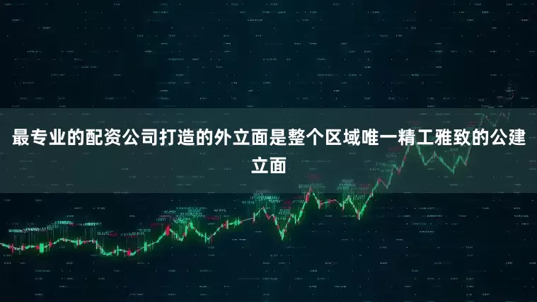 最专业的配资公司打造的外立面是整个区域唯一精工雅致的公建立面